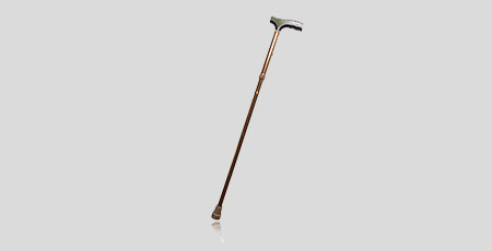 Walking Cane